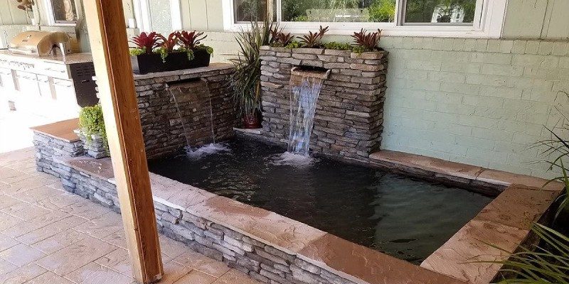 Pond Cleanout