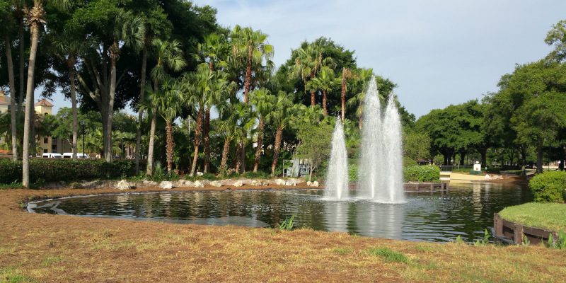 Water Feature Construction