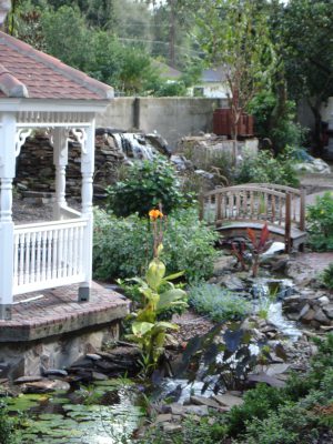 Pond Design
